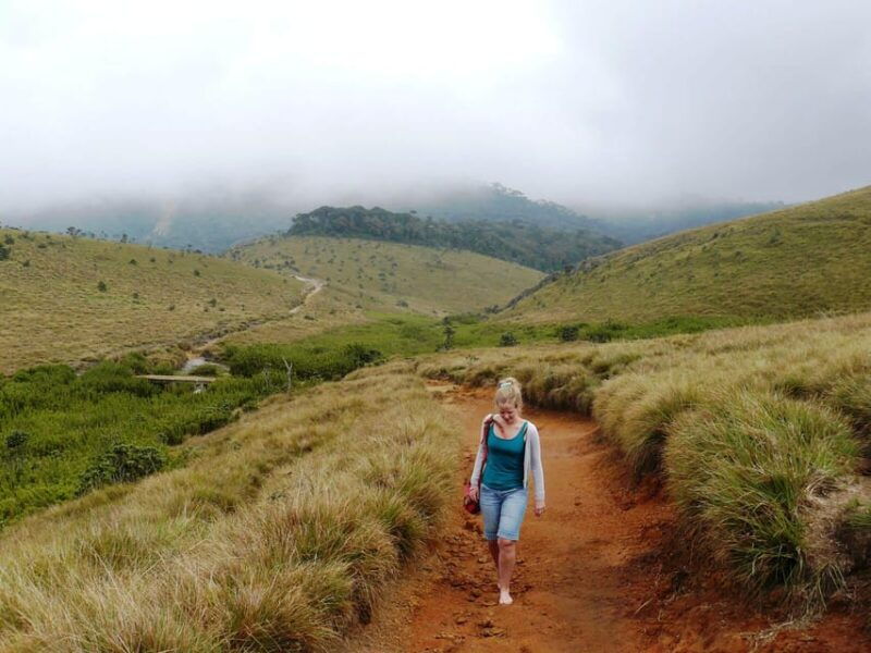 visit-horton-plains-scenic-train-ride-from-ella