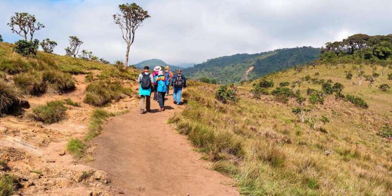 visit-horton-plains-scenic-train-ride-from-ella
