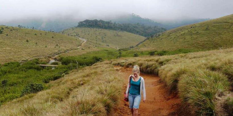 visit-horton-plains-scenic-train-ride-from-ella