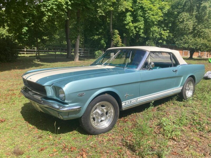 visit-in-classic-car-paris-chantilly-versailles-auvers