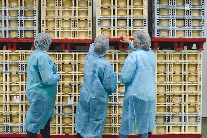 visit-la-antigua-cheese-factory-cheese-tourism