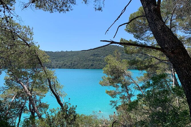 visit-magical-mljet-island-with-private-speedboat