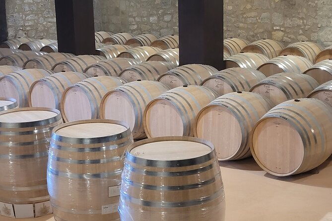 visit-marques-de-riscal-picnic-in-vineyard-from-bilbao