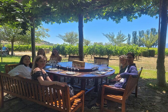 visit-marques-de-riscal-picnic-in-vineyard-from-bilbao