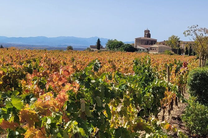 visit-marques-de-riscal-picnic-in-vineyard-from-bilbao