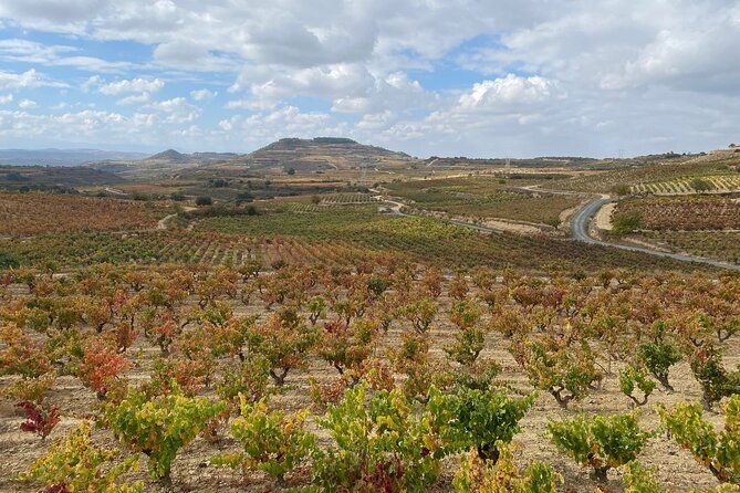 visit-marques-de-riscal-picnic-in-vineyard-from-bilbao