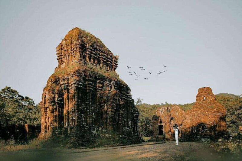 visit-my-son-sanctuary-half-day-in-the-morning-or-afternoon