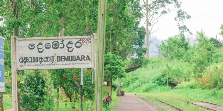 visit-nine-arch-bridgeravana-diyaluma-fallssafari
