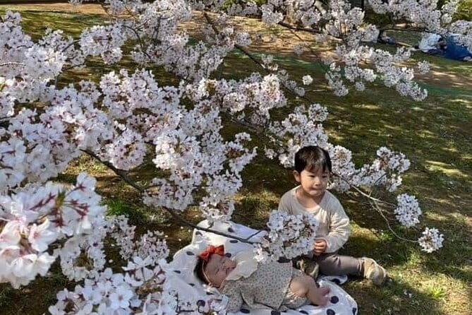 Visit Nokonoshima Island with Natural Attraction Pass - Key Points