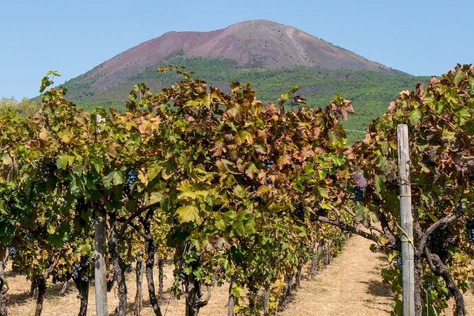 visit-of-pompei-and-wine-tasting-with-lunch-from-amalfi