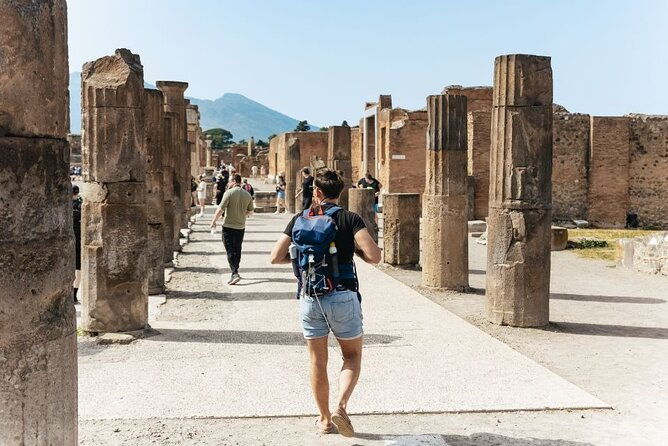visit-of-pompei-and-wine-tasting-with-lunch-from-amalfi