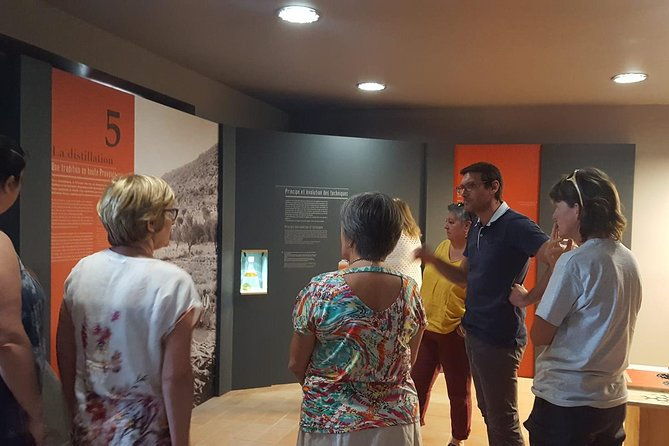 visit-of-the-artemisia-museum