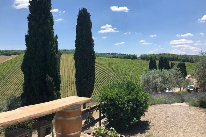 visit-of-the-chianti-classico-and-the-tuscan-countryside