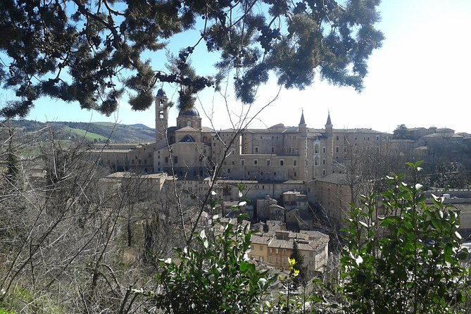 visit-of-the-ducal-palace-of-urbino-2