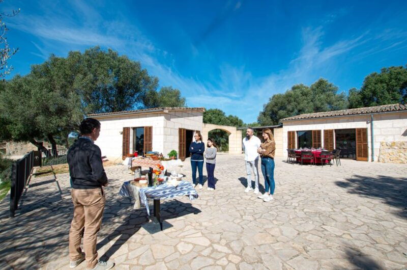 visit-of-the-olive-grove-olive-oil-tasting-and-snack