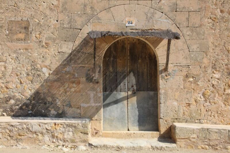 visit-of-the-olive-grove-olive-oil-tasting-and-snack