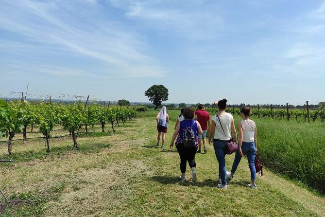 visit-of-the-winemaker-with-tasting-of-typical-products-in-faenza