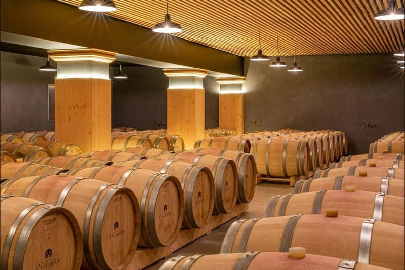Visit one of the most modern wineries in Provence at L'Escarelle! - Key Points