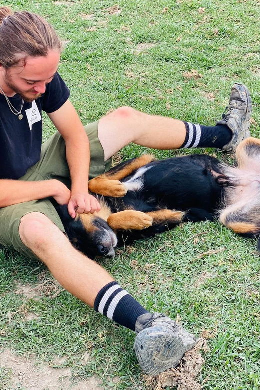 visit-our-non-profit-animal-sanctuary-in-kathmandu