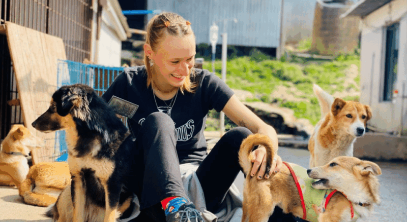 visit-our-non-profit-animal-sanctuary-in-kathmandu