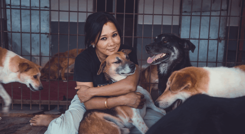 visit-our-non-profit-animal-sanctuary-in-kathmandu