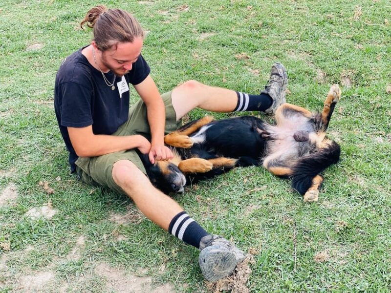 visit-our-non-profit-animal-sanctuary-in-kathmandu