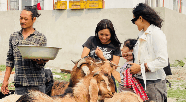 visit-our-non-profit-animal-sanctuary-in-kathmandu