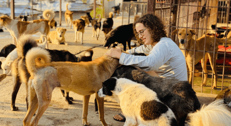 visit-our-non-profit-animal-sanctuary-in-kathmandu