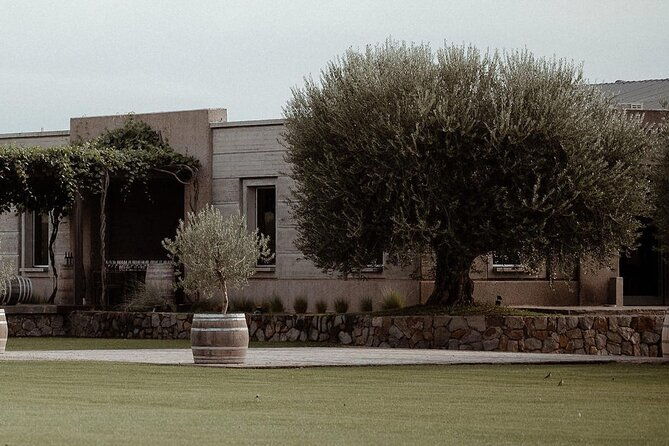 visit-pulenta-estate-winery-and-gourmet-lunch-at-susana-balbo