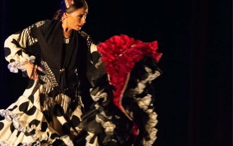 Visit Santa Barbara Castle in Alicante and Flamenco Show, Private Van - Key Points