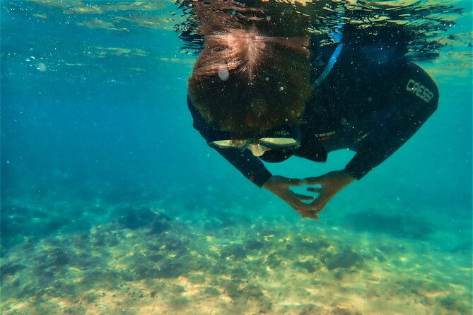 visit-secret-caves-hidden-beaches-and-snorkel-in-alvor-portugal