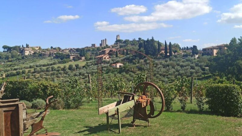 visit-siena-and-san-gimignano-with-lunch-at-a-family-farm