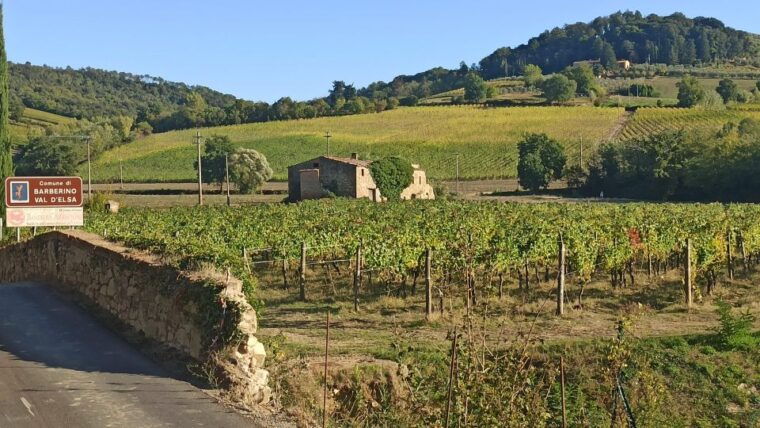 visit-siena-and-san-gimignano-with-lunch-at-a-family-farm