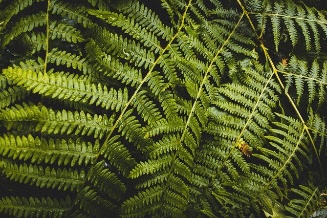 Visit Snoqualmie and Hike to Twin Falls (Transportation included) - The Itinerary — What You’ll Experience