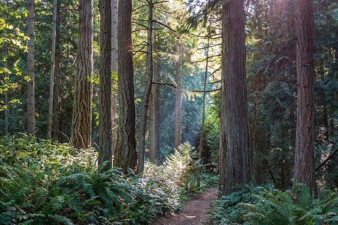 Visit Snoqualmie and Hike to Twin Falls (Transportation included) - What to Know Before Booking