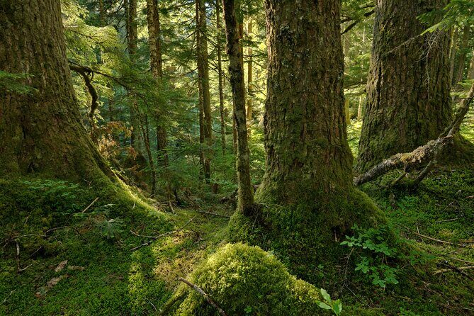 Visit Snoqualmie and Hike to Twin Falls (Transportation included) - FAQ