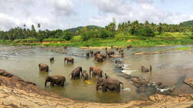 visit-sri-lanka-7-days-round-trip