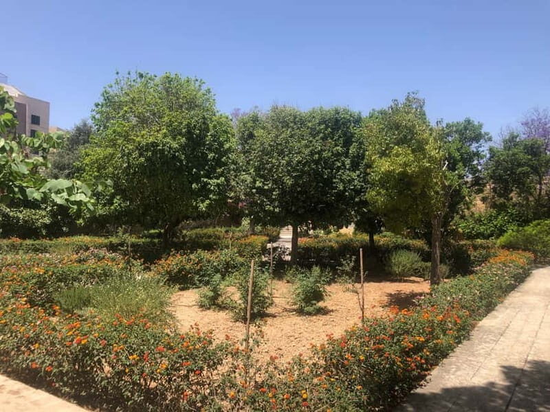 Visit Tarxien Temples, Kalanka Bay, Blue Grotto, Marsaxlokk - Introduction
