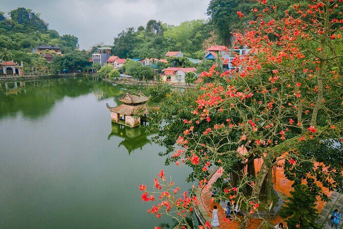 Visit Thay Pagoda Duong Lam Ancient Village Hanoi Private Tour - In-Depth Look at the Tour Experience