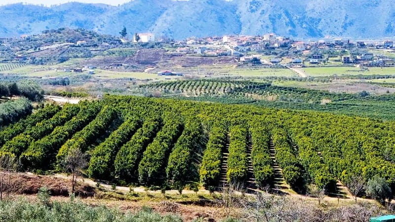 Visit the city of Konispol - Exploring Konispol: A Hidden Gem in Albania