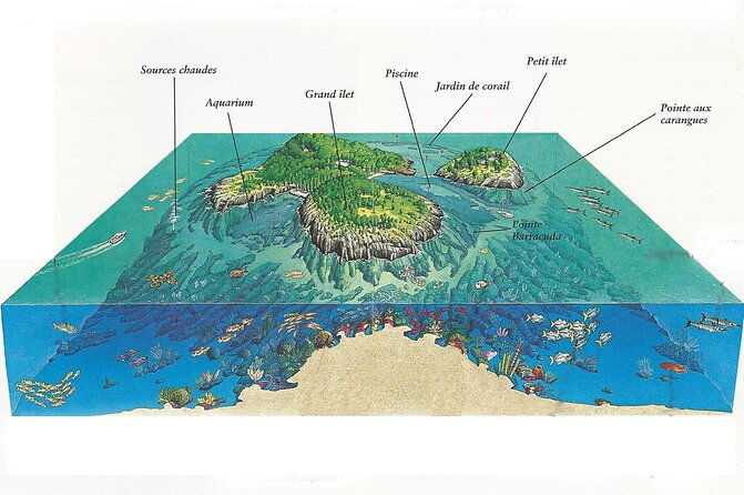 visit-the-cousteau-reserve-by-boat-without-a-license