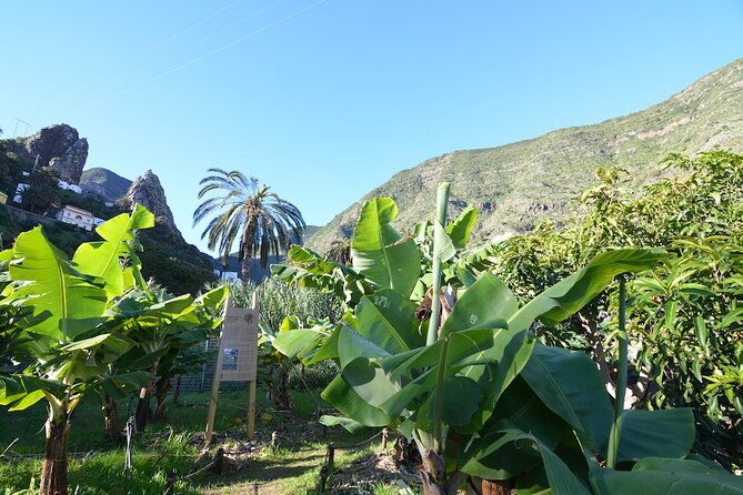 visit-the-ethnographic-park-of-la-gomera-2