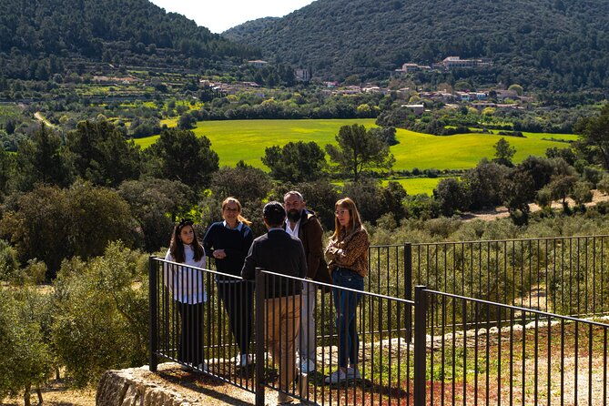 visit-the-finca-and-olive-grove-extra-virgin-olive-oil-tasting-and-snack