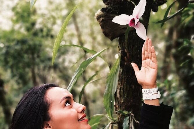 visit-the-greatest-orchid-sanctuary-orquigonia-half-day-tour