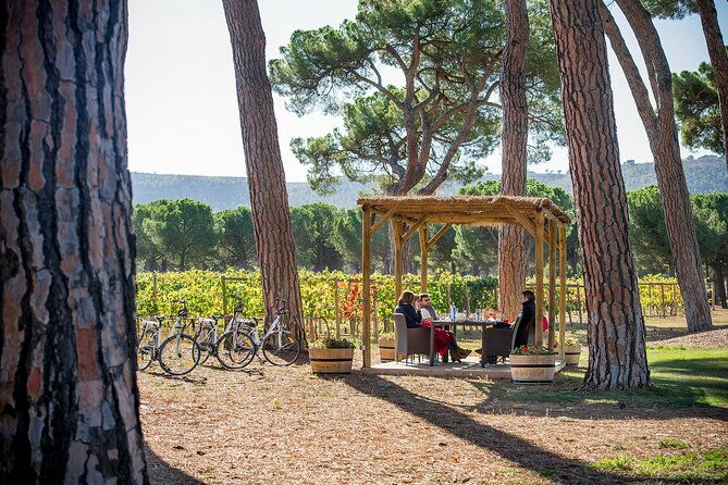 visit-the-hidden-jewel-of-the-ribera-del-duero-winery