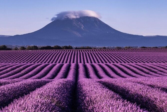 visit-the-lavender-fields-the-verdon-gorge-and-moustiers-2
