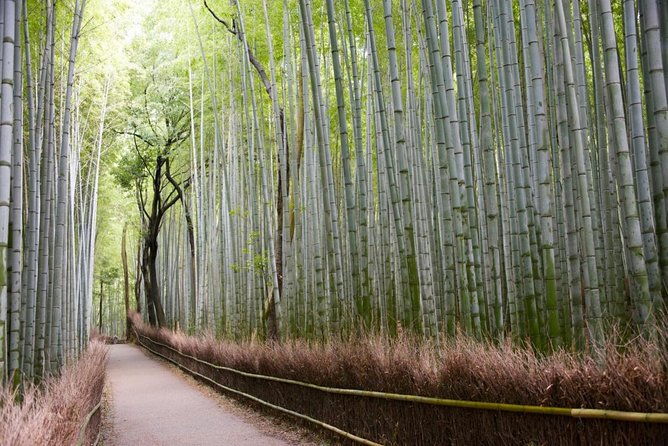 visit-the-lushan-area-on-foot-by-tram