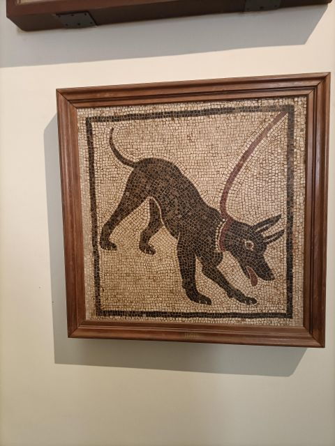 visit-the-museum-mann-with-a-professional-guide