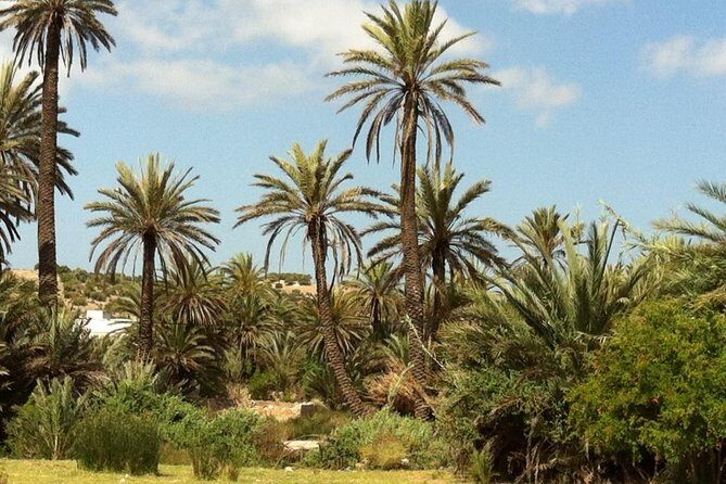 Visit the Oasis & Tea at the basket maker. - Key Points