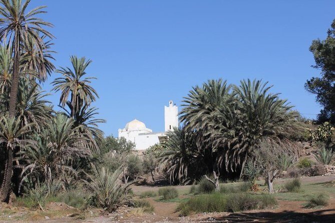Visit the Oasis & Tea at the basket maker. - A Closer Look at the Oasis & Basket Maker Tour